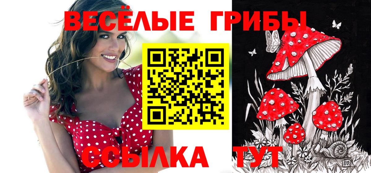 Людиново  Галлюциногенные грибы мухоморы  Галлюциногенные грибы GOLDEN TEACHER  Вход с VPN 